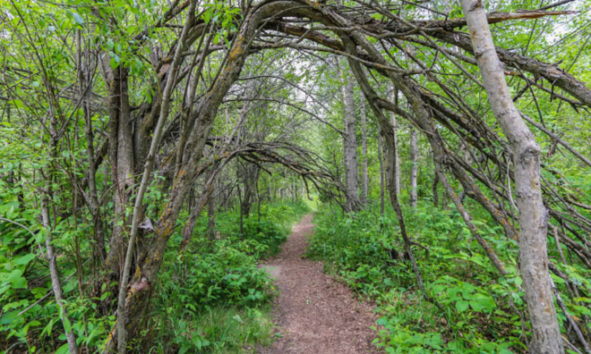 Home | Strathcona County